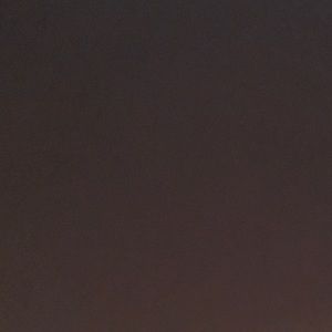 Meet your Posher, Syn